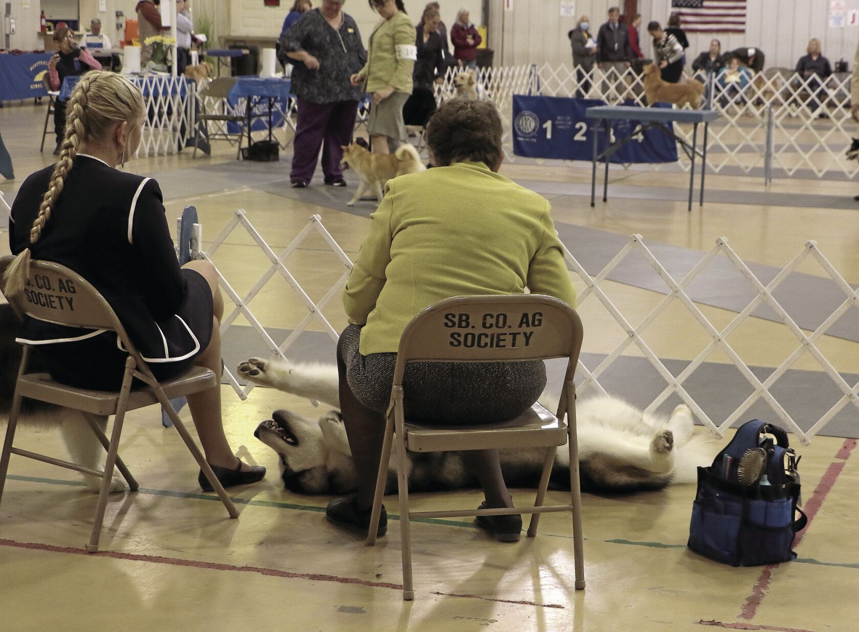 PHOTOS: 2022 AKC Dog Show